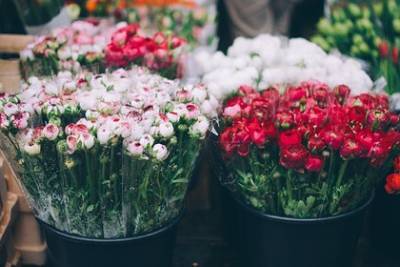В России спрогнозировали рост цен на цветы к 8 марта