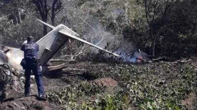 Шесть человек погибли в результате крушения самолета ВВС Мексики