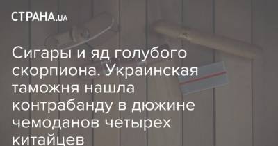 Сигары и яд голубого скорпиона. Украинская таможня нашла контрабанду в дюжине чемоданов четырех китайцев