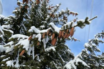 В Тульской области спрогнозировали перепады атмосферного давления и снегопад