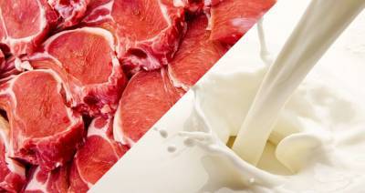 Беларусь увеличила в 2020 году экспорт мясной и молочной продукции