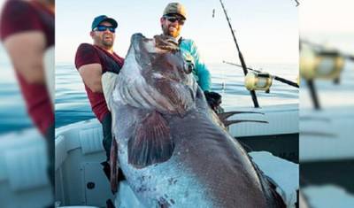 Американские рыболовы поймали окуня длиной больше человеческого роста