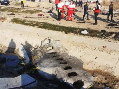 Иран завершил расследование авиакатастрофы МАУ