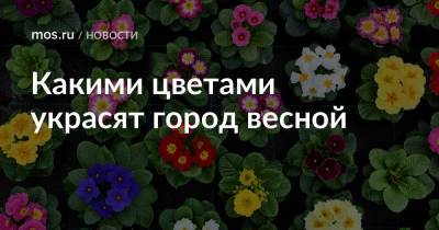 Какими цветами украсят город весной - mos.ru - Москва