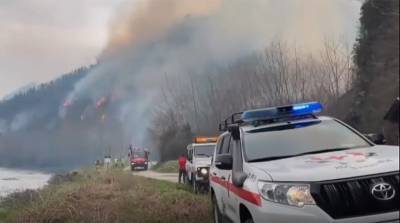 Лесной пожар вспыхнул на границе Испании и Франции