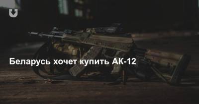 Беларусь хочет купить АК-12