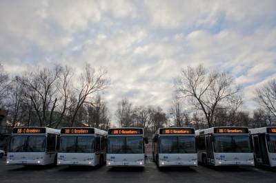 В январе петербургские автобусы перевезли на 15 млн меньше пассажиров