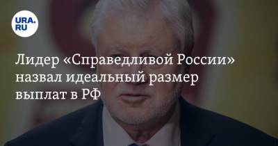 Лидер «Справедливой России» назвал идеальный размер выплат в РФ