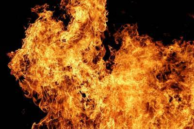 При пожаре в Котласском районе погиб мужчина
