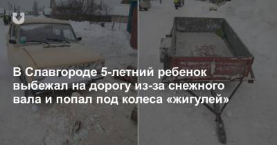 В Славгороде 5-летний ребенок выбежал на дорогу из-за снежного вала и попал под колеса «жигулей»