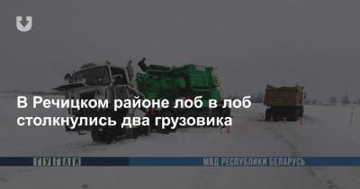 В Речицком районе лоб в лоб столкнулись два грузовика