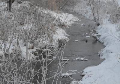 23 февраля температура в Рязанской области опустится до -34 °С