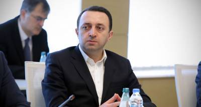 Гарибашвили представит 10-летний план развития Грузии