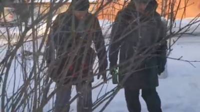 Тюменские «кладоискатели» не скрываются и не боятся морозов