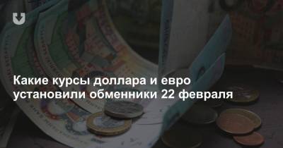 Какие курсы доллара и евро установили обменники 22 февраля - news.tut.by - Белоруссия