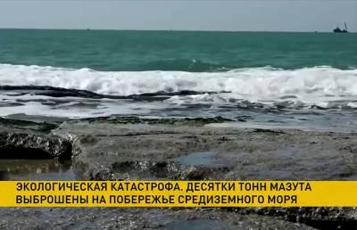 Экологическая катастрофа в Израиле: десятки тонн мазута оказались в Средиземном море