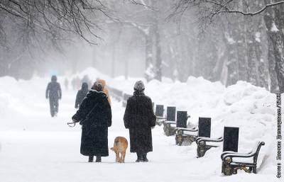 Жителей Москвы и области предупредили о сильном морозе 23 февраля