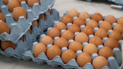В Украине цены на яйца, сахар и масло в ближайшее время расти не будут, - эксперты