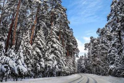 Погода в Рязанской области 23 февраля: ночью похолодает до -34 градусов