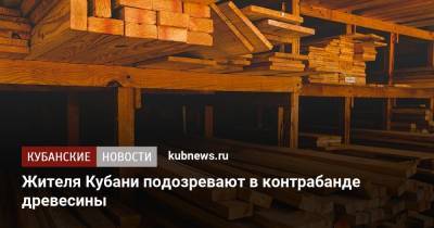 Жителя Кубани подозревают в контрабанде древесины