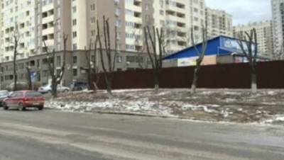 В Одессе варварски уничтожили два десятка деревьев ради супермаркета: кадры беспредела
