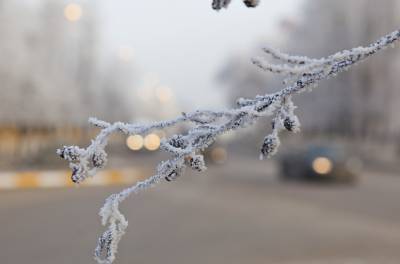 Жителей Московской области предупредили об усилении мороза