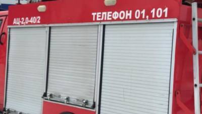 Двое детей погибли при пожаре в Подмосковье