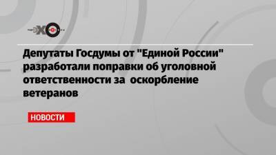Депутаты Госдумы от «Единой России» разработали поправки об уголовной ответственности за оскорбление ветеранов