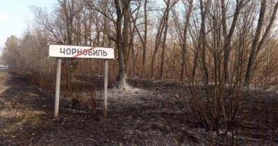 "Для привлечения иностранных туристов": Украина обсудит с НВО создание локации в Чернобыле