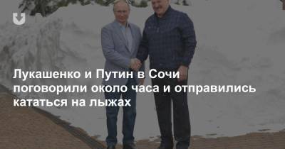 Лукашенко и Путин в Сочи поговорили около часа и отправились кататься на лыжах