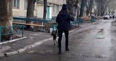 Домашний тиран отправил жительницу Одесчины замерзать на мороз, досталось также полицейскому: видео с места