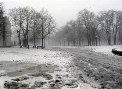 Синоптики рассказали о погоде 23 февраля в Смоленской области