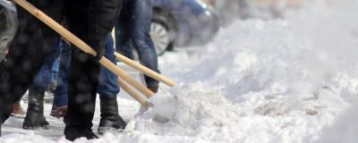 Ставропольцев попросили помочь в уборке дворов от снега