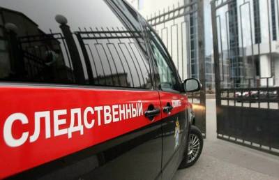 В России полицейские не приехали на вызов в дом, где убивали девушку