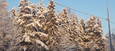 В праздничный день 23 февраля в Карелии ожидаются лютые морозы