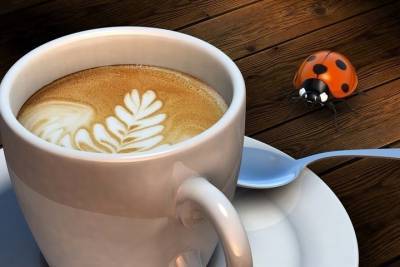 Доктор Мясников назвал болезни, от которых помогает кофе