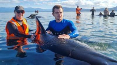 На побережье Новой Зеландии выбросились около 50 китов - ru.espreso.tv - Новая Зеландия
