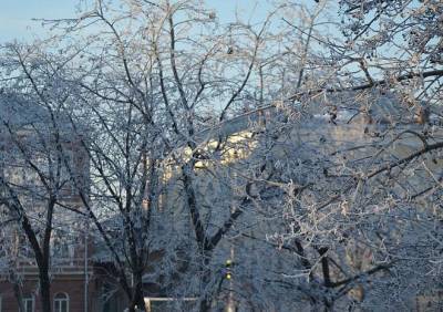 Температура воздуха в Рязанской области может опуститься ниже -35 °C