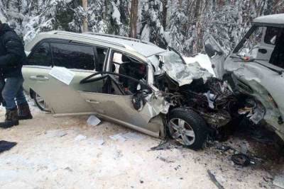 Страшная авария с семью пострадавшими произошла во Владимирской области, шесть человек госпитализированы