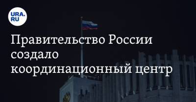 Правительство России создало координационный центр