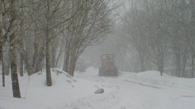Москву ждут сильнейшие за 65 лет морозы