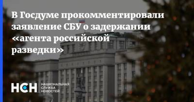 В Госдуме прокомментировали заявление СБУ о задержании «агента российской разведки»