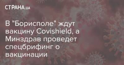 В "Борисполе" ждут посадку самолета с Covishield, а Минздрав проведет спецбрифинг о вакцинации