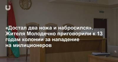 «Достал два ножа и набросился». Жителя Молодечно приговорили к 13 годам колонии за нападение на милиционеров