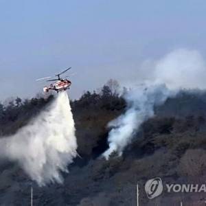 В Южной Корее горят леса: огонь быстро распространяется. Фото