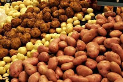 Целебные свойства картофеля
