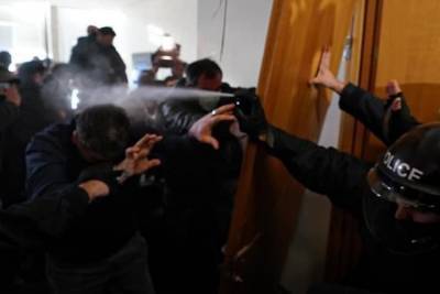 Грузинский омбудсмен назвала позором задержание оппозиционера Мелии