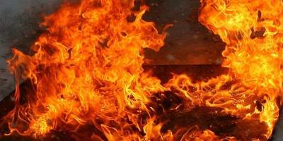 На Донбассе из-за пожара погибли три бойца ВСУ - ТЕЛЕГРАФ
