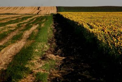 На Украине «исчезли» 5 млн гектаров казенной земли
