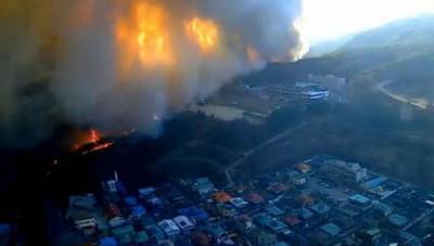 В Южной Корее пожары уничтожили более 200 гектаров леса